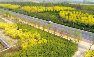 彩色的道路让人心旷神怡。