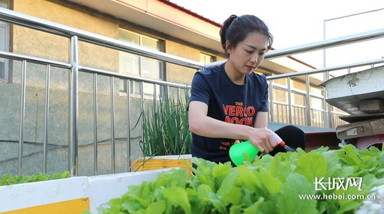 胡静在民宿的阳台上种植蔬菜。长城网记者 张嘉琪 摄