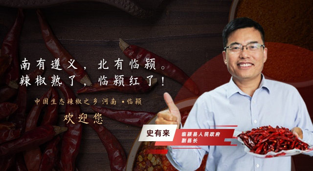 专访临颍县人民政府政府副县长史有来