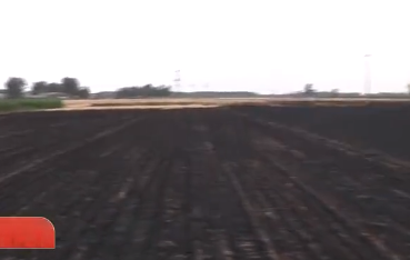 漯河近百畝麥子被燒焦 村民：燒得嗚嗚叫 一年白辛苦