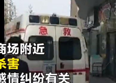 南陽一商場附近發生命案 女孩被捅死 嫌疑人被抓