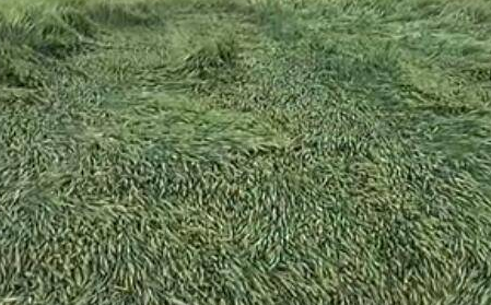 cfbd116ddd96c319219d5ee249dd2579