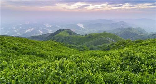 http://n.sinaimg.cn/henan/96c2d653/20190426/11.jpg