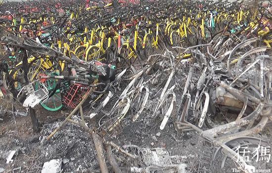 猛犸新聞·東方今報(bào)記者 張曉冬/文圖視頻 萌友 朱先生