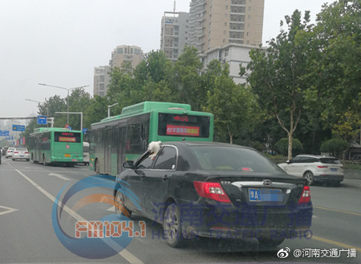 Σգ֣ݽͷ˽ҳʻ һֻ̽ͷ