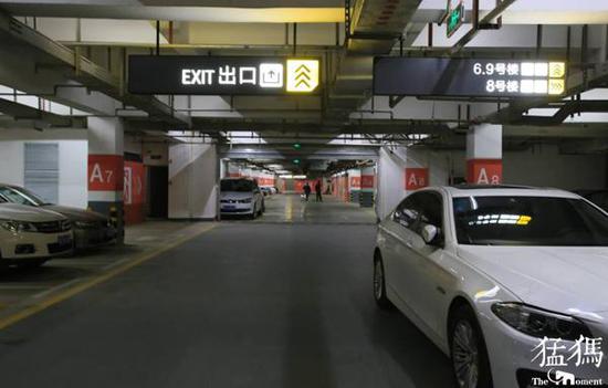 （資料圖 猛犸新聞·東方今報記者 邱琦 攝影）