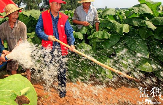 ֣�������ֹ������� ���������ﲥ��285.26��Ķ