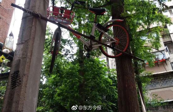 �����أ�֣��һ������������2�׸�"����"��