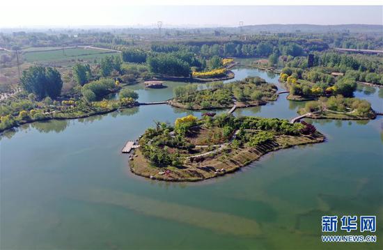 4月24日拍摄的淇河鹤壁段风景(无人机照片)。 暮春时节,淇河河南鹤壁段生机盎然,两岸郁郁葱葱,美不胜收。 新华社记者李嘉南摄