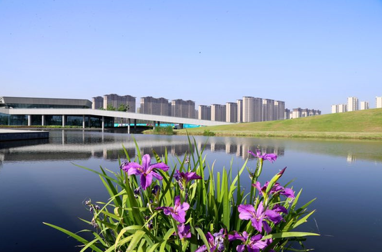 ֣ݺո̵135ƽ ѽ԰25