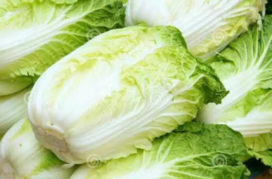 高陽白菜
