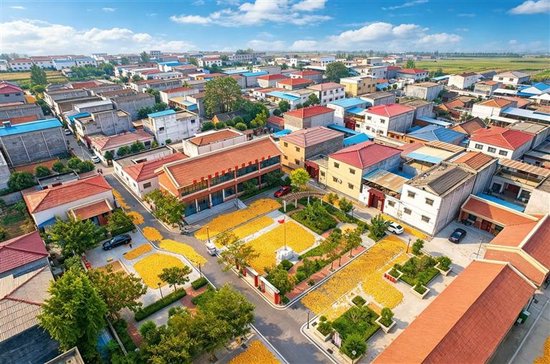 “胡同长”协助基层治理，商水县阳城街道瓦房庄社区迎来了国泰民安的又一个丰收季。 张昆鹏　摄