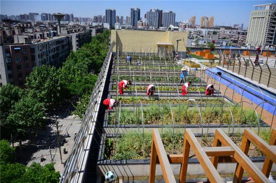 ֣��ȫ�濪��¥���̻��Ե� һ��ѧ¥����"����ũ��"