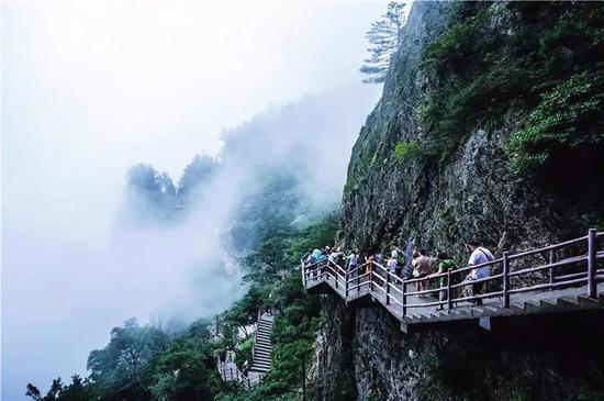 景点名称：老君山风景区