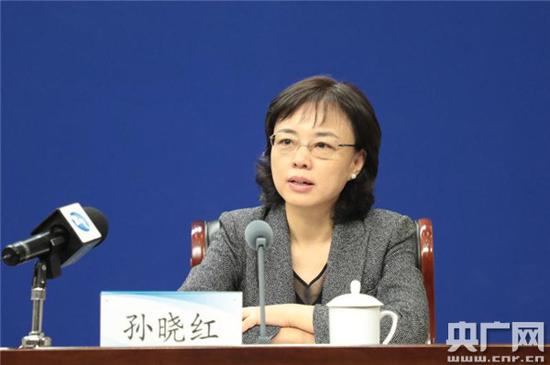 郑州市人民政府副市长孙晓红详细介绍本届赛事的特点特色(央广网 陈振华 摄)