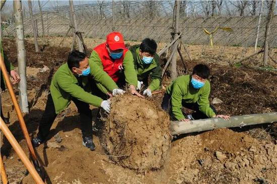郑州绿博园开展义务植树活动