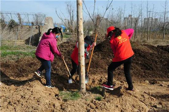 郑州绿博园开展义务植树活动