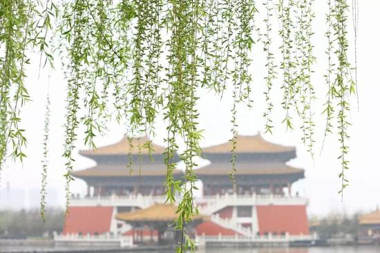 不知細葉誰裁出，二月春風似剪刀。