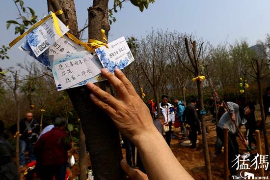 [話題：你是否會選擇樹葬等節(jié)地生態(tài)葬？]