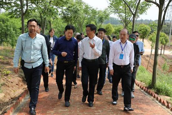 考察团成员走在通往茶叶种植基地的路上