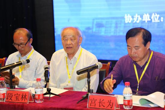 段宝林教授发言(摄影/陈留彪)