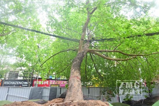 ֣�ݽ�ͷ��ͩ������ѹס�������� ���ѹ�������ע�ⰲȫ