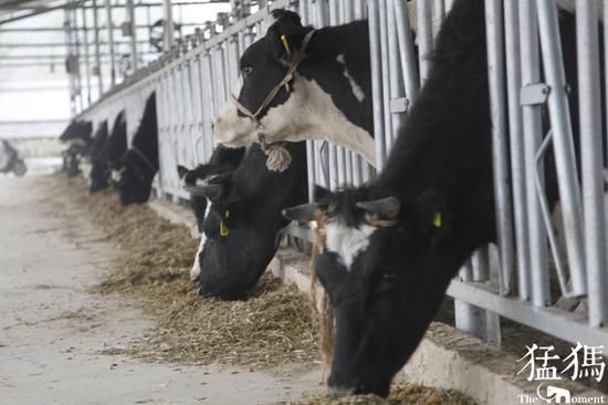 （資料圖片 猛犸新聞·東方今報(bào)記者 沈翔 攝）