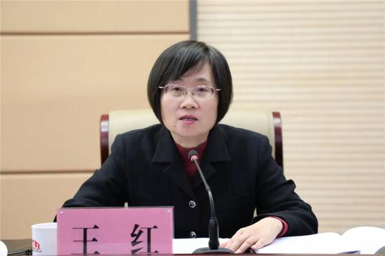 省发展和改革委员会副主任王红就相关情况做汇报