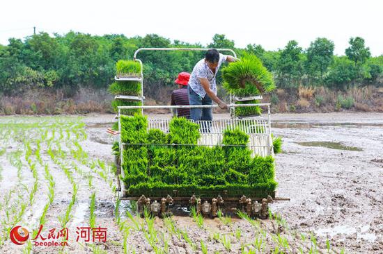 谢万柏 摄