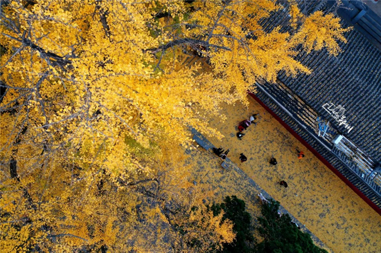 资料图 郑报全媒体记者 马健 摄