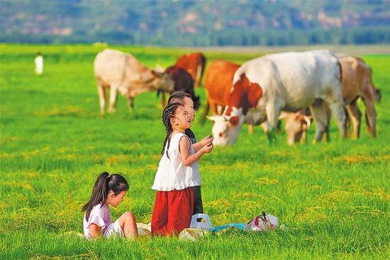 市民在调水调沙后的三门峡市湖滨区王官黄河湿地新形成的绿色“草原”上打卡。 本报资料图片　孙猛　摄