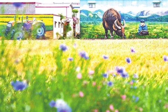 墙画与麦田相映成风景。