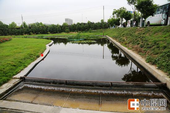 城市工业废水经过湿地循环净化后排入河流中