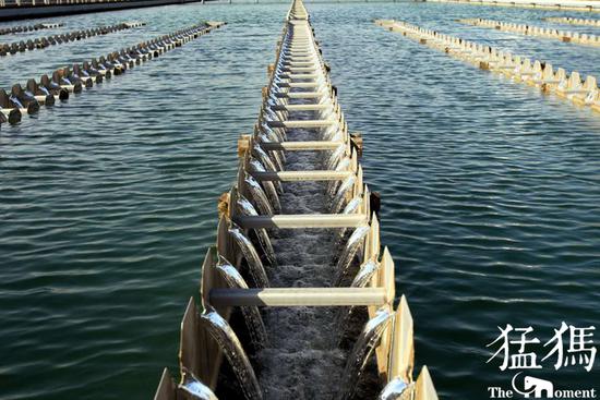 （資料圖片 猛犸新聞·東方今報記者 邱琦 攝）