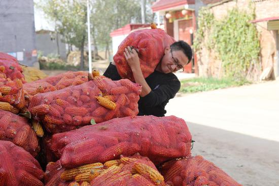 （圖為張永博請假回來看望小伊健的同時，準備把家中的玉米脫粒出來）