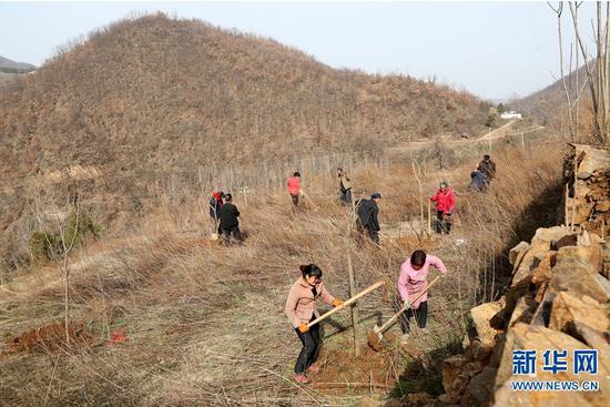 31գʮɽ山ũڻɽֲ֡