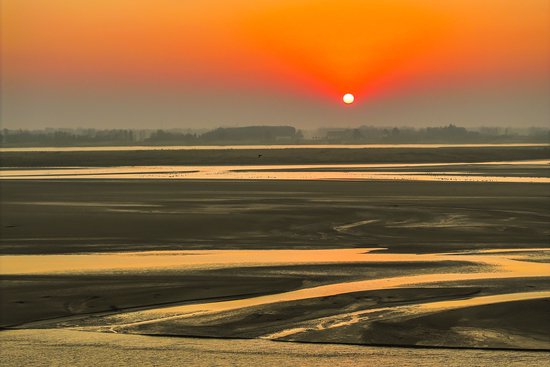 长垣黄河湿地。王相川/摄