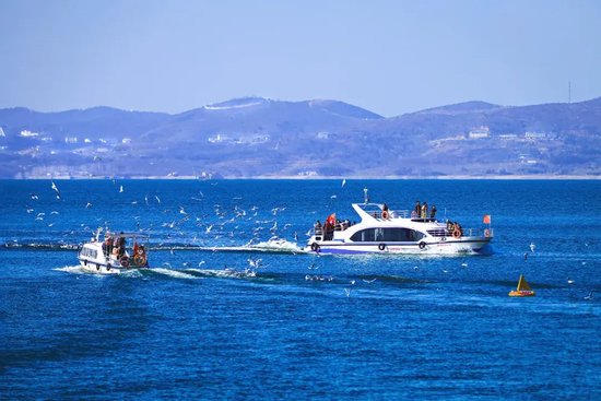 　　1月8日，南阳丹江口水库澄澈碧水漾开蓝波。游船划破湖面，迁徙而来的红嘴鸥群逐浪随行，白羽与船舷共舞。陈光/摄