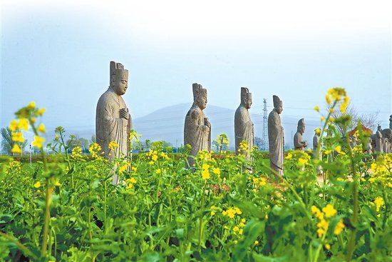 下图 油菜花海中的宋陵石像生（3月17日摄）。均为本报全媒体记者 聂冬晗　摄