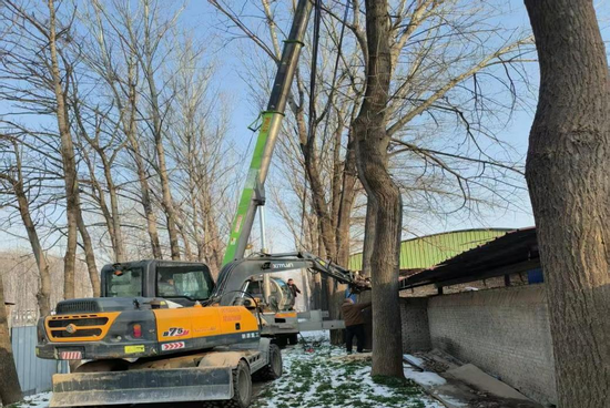 图11 挖掘机、吊车进场作业，对倒伏树木进行清理