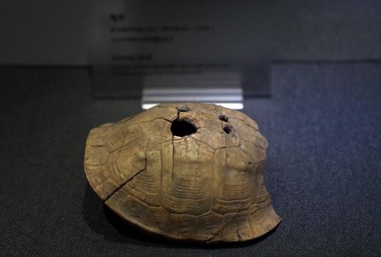 龟甲,新时期时代龙山文化(距今约4400—4100年),1981年郑州大河村遗址出土