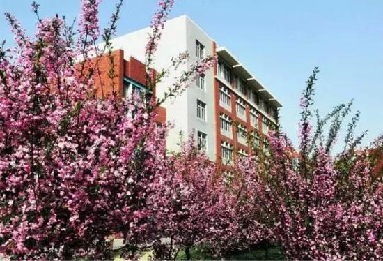 郑大新校区内有各种观赏花木，樱花、桃花、海棠、连翘……