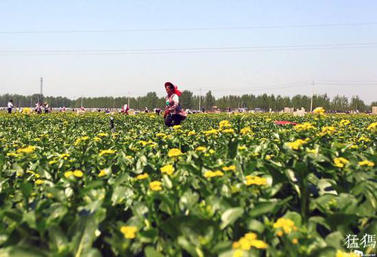 河南栾川等33个县脱贫摘帽 现进行公示