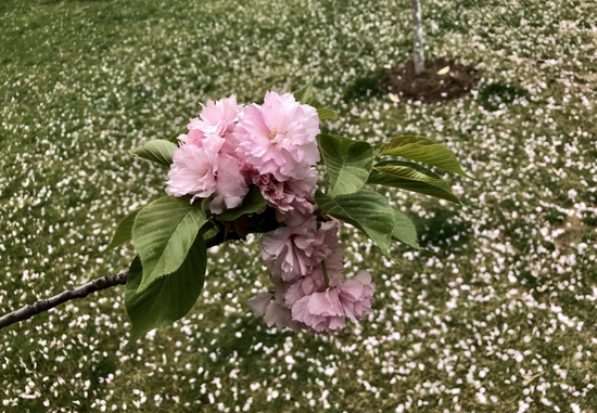 [升溫]升溫開啟“小馬達” 明天最高氣溫“30+”