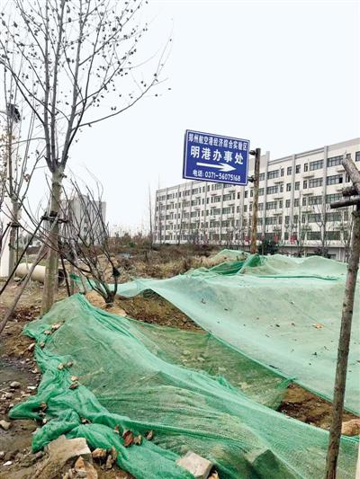 明港办事处门前绿化带黄土裸露