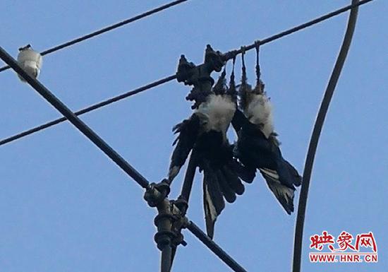 Ȩֻ߸"ѳ" 2000໧ͣ