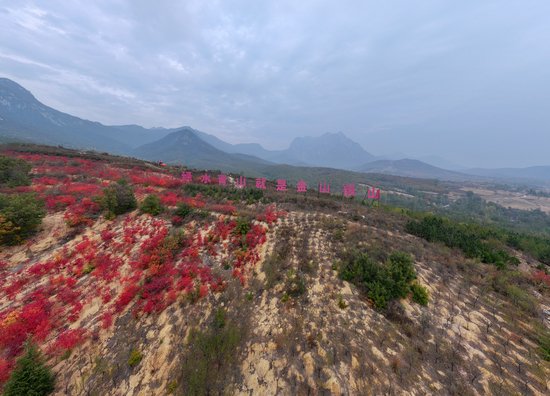 郑州市“互联网+义务植树”基地。