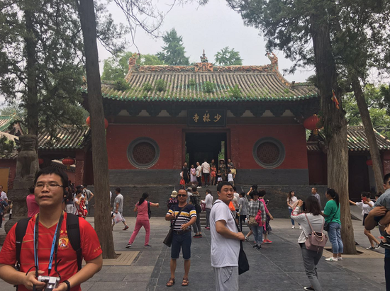郑报融媒记者 成燕 文/图