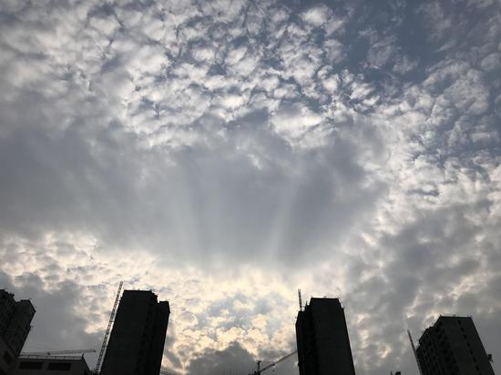 根據預報，鄭州市今天夜里到明天白天，陰天有小到中雨，并伴有雷電。