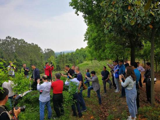 考察团成员对修剪茶叶的器械很感兴趣